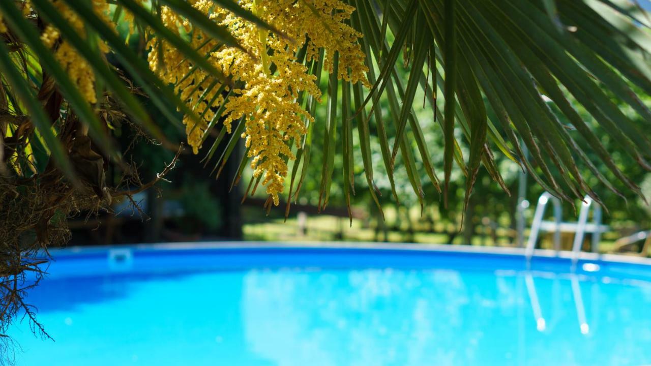Pension Sunnhofer Vilpiano Dış mekan fotoğraf